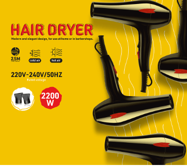 Denx - Hair Dryer