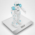 Remote Control Intelligent Robot - Zambeel